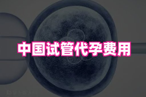69助孕网 1