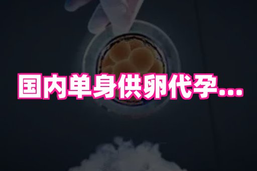 69助孕网 2