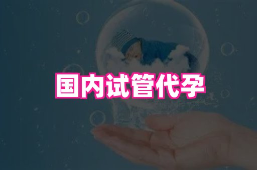 69助孕网 4